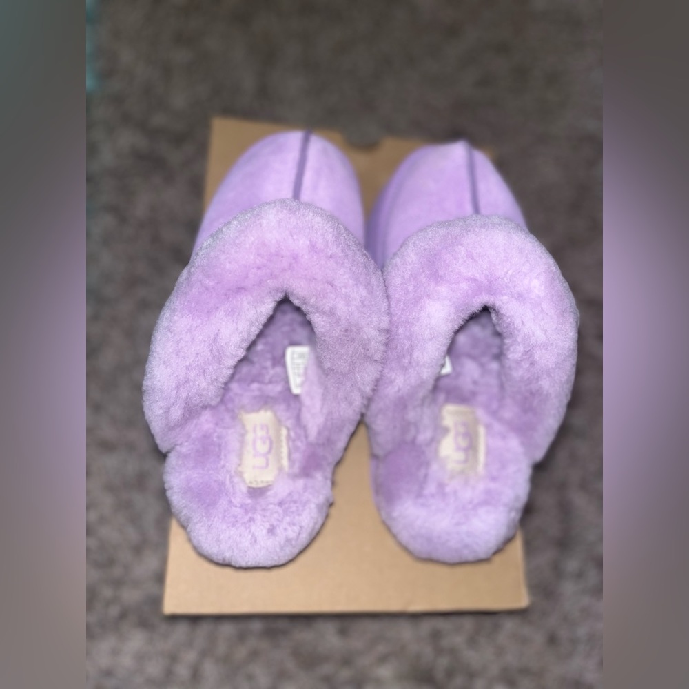 Ugg Disquette Lavender Fog Suede